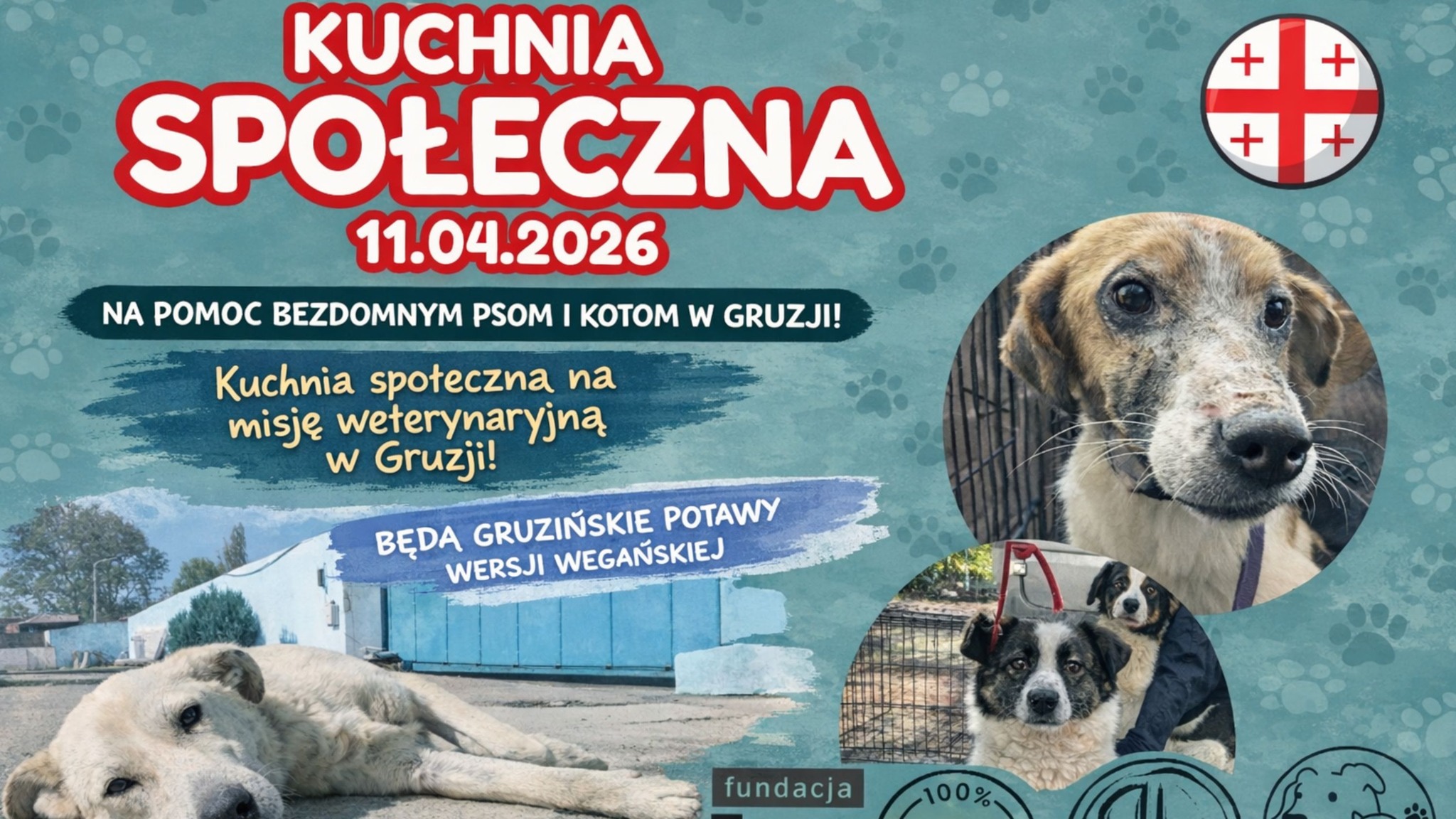 KUCHNIA SPOŁECZNA | DLA STOWARZYSZENIA PSY W GRUZJI