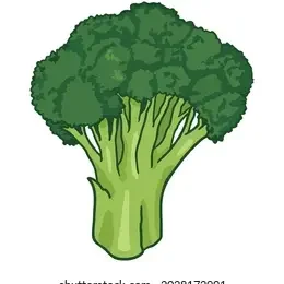 Vegann 🥦